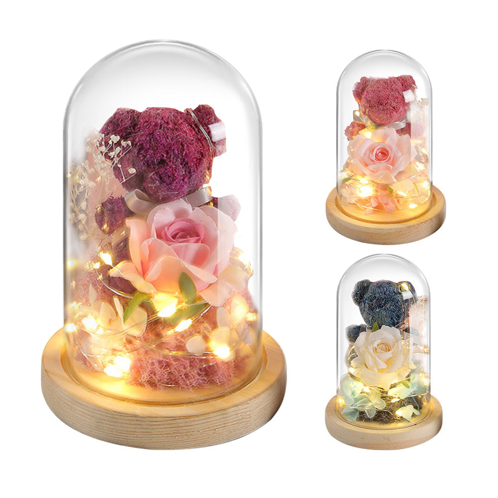 Illuminated Rose Accent Lamp & Teddy Bear Set