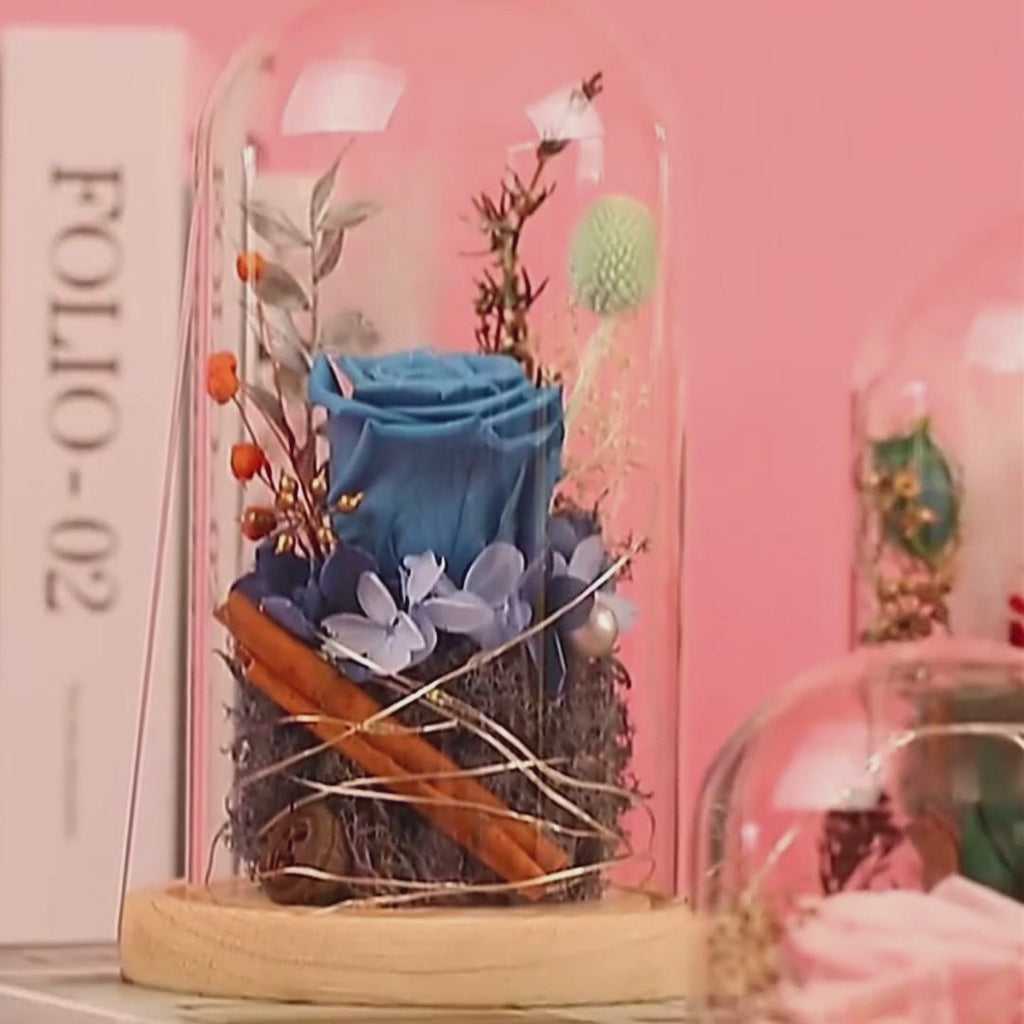 Illuminated Rose Accent Lamp & Teddy Bear Set