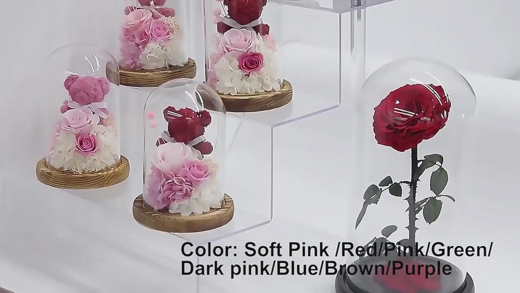 Illuminated Rose Accent Lamp & Teddy Bear Set